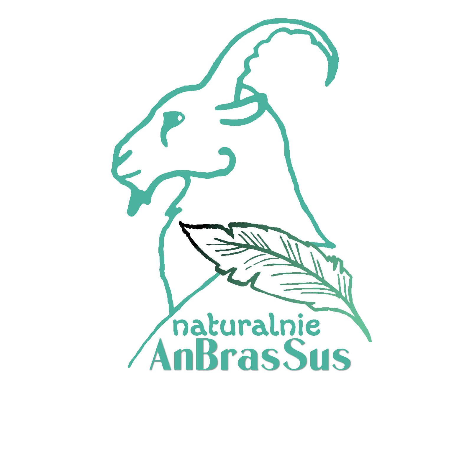 AnBrasSus